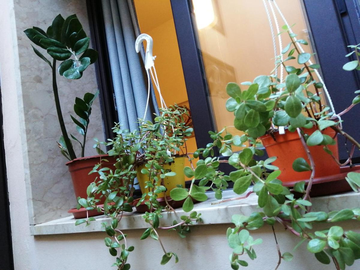 Apartment Siracusa,tra Ortigia E Il Mare Syracuse